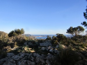 IMG_3713 (Medium)